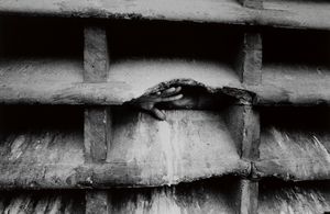 Antonín Kratochvíl - Senza titolo