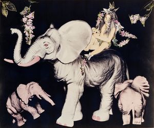 Astrid - Senza titolo