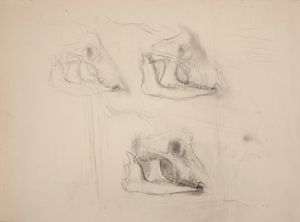 Piero Guccione - Studio di Bucranio