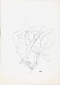 Bruno D'Arcevia - Senza titolo