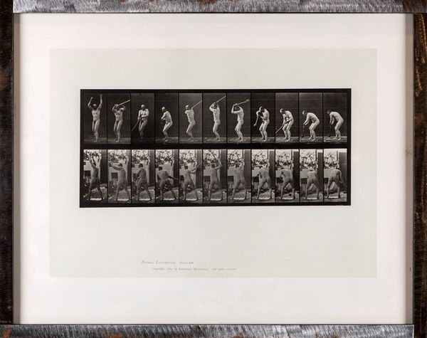 EADWEARD MUYBRIDGE : Animal Locomotion (10 Sport Studies) plate 308  - Asta Grafica Internazionale e Multipli d'Autore - Associazione Nazionale - Case d'Asta italiane
