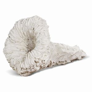 Icaro Paolo - PAOLO ICARO