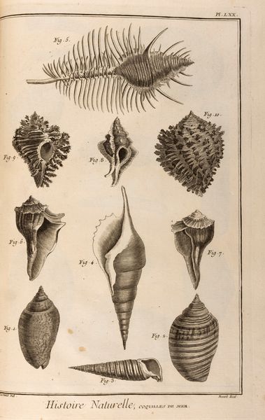 Diderot, Denis - d'Alembert, Jean-Baptiste Le Rond : Encyclop�die, ou Dictionnaire raisonn� des sciences, des arts et des m�tiers  - Asta Libri, Autografi e Stampe - Associazione Nazionale - Case d'Asta italiane