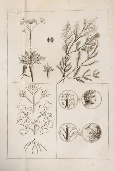 Dictionnaire Universel de Mdecine, de Chirurgie, de Chymie, de Botanique, d'Anatomie, de PharmacieDictionnaire Universel de Mdecine, de Chirurgie, de Chymie, de Botanique, d'Anatomie, de Pharmacie  - Asta Libri, Autografi e Stampe - Associazione Nazionale - Case d'Asta italiane