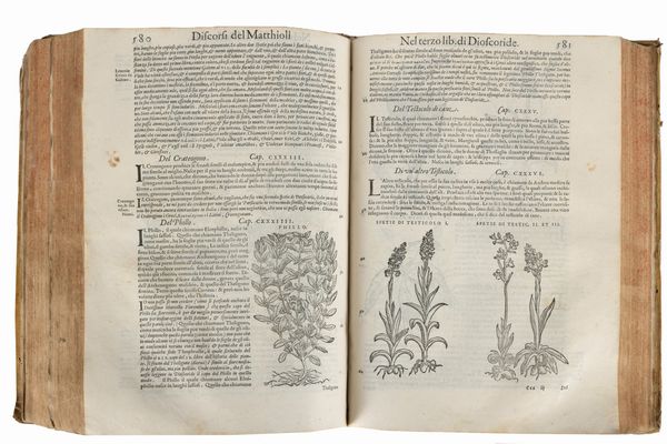 PIETRO ANDREA MATTIOLI : I discorsi [...] ne i sei libri di Pedacio Dioscoride Anazarbeo Della materia medicinale  - Asta Libri, Autografi e Stampe - Associazione Nazionale - Case d'Asta italiane