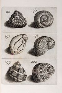 Filippo Bonanni : Ricreatione dell'occhio e della mente nell'osservationi delle Chiocciole  - Asta Libri, Autografi e Stampe - Associazione Nazionale - Case d'Asta italiane