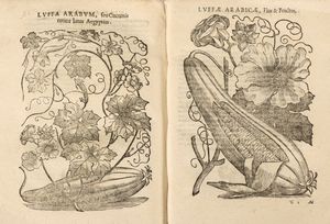 Prospero Alpini : De Plantis Aegypti liber  - Asta Libri, Autografi e Stampe - Associazione Nazionale - Case d'Asta italiane