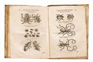 Imperato Ferrante : Historia naturale di Ferrante Imperato napolitano  - Asta Libri, Autografi e Stampe - Associazione Nazionale - Case d'Asta italiane