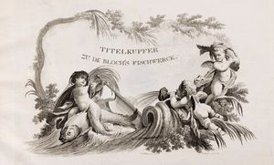 Marcus Elieser Bloch - D. Marcus Elieser Bloch's conomische Naturgeschichte der Fische Deutschlands, (Vol.9)