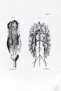 Luigi Galvani : Opere edite ed inedite [...] Raccolte e pubblicate per cura dell'Accademia delle Scienze dell'Istituto di Bologna  - Asta Libri, Autografi e Stampe - Associazione Nazionale - Case d'Asta italiane