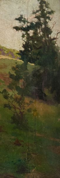 Adolfo Belimbau : Bosco  - Asta Arte Moderna e Contemporanea - Associazione Nazionale - Case d'Asta italiane