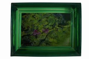 Chiara Dynys - Poisoned flowers