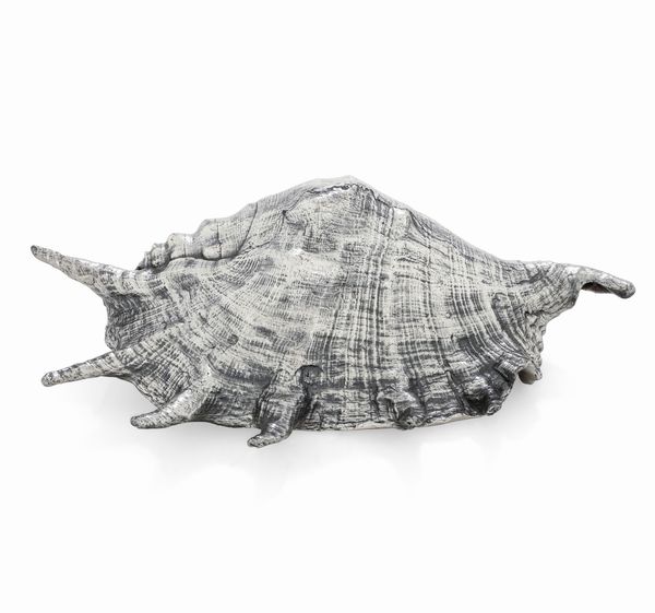 Conchiglia rivestita in argento. Etichetta a scudo Mario Buccellati. Italia XX-XXI secolo  - Asta Argenti da collezione | Antichi - Associazione Nazionale - Case d'Asta italiane