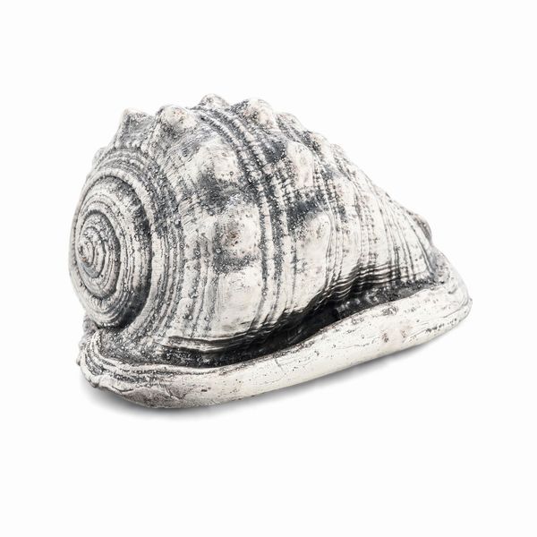 Conchiglia rivestita in argento. Etichetta a scudo Mario Buccellati. Italia XX-XXI secolo  - Asta Argenti da collezione | Antichi - Associazione Nazionale - Case d'Asta italiane