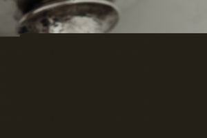 Tazza da puerpera. Firenze, seconda o terza decade del XIX secolo. Argentiere Giovanni o Gaetano Guadagni  - Asta Argenti da collezione | Antichi - Associazione Nazionale - Case d'Asta italiane