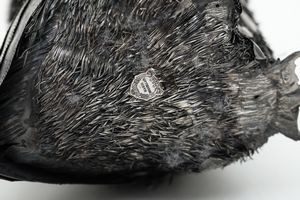 Barbagianni. Etichetta a scudo Mario Buccellati. Italia XX-XXI secolo  - Asta Argenti da collezione | Antichi - Associazione Nazionale - Case d'Asta italiane