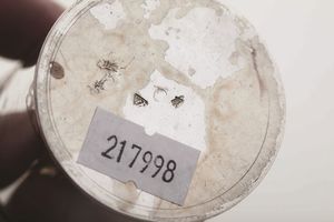 Calamaio. Modena, secondo quarto del XIX secolo. Argentieri Cesare Lazzari e Giovanni Manzini (1827-1843)  - Asta Argenti da Collezione | XX secolo - Associazione Nazionale - Case d'Asta italiane