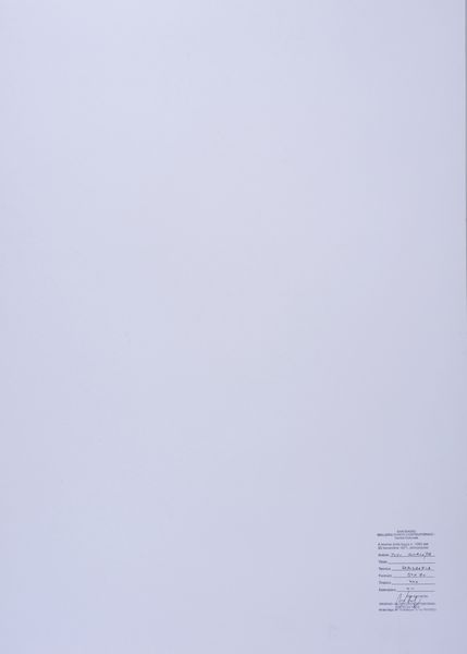 SCIALOJA TOTI (1914 - 1998) : Lotto composto da n. 2 fogli. Senza titolo.  - Asta Asta 413 | GRAFICA MODERNA, FOTOGRAFIA E MULTIPLI D'AUTORE Online - Associazione Nazionale - Case d'Asta italiane