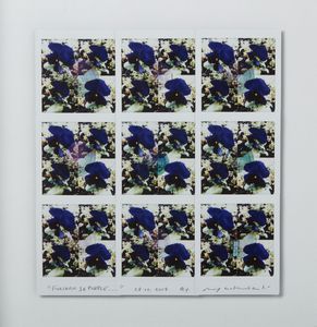 GALIMBERTI MAURIZIO (n. 1956) - Fioriario36Purple.