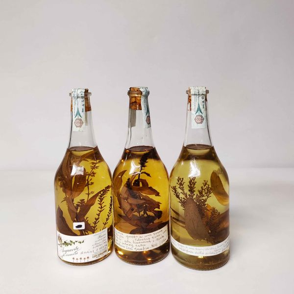 Levi Serafino, Grappa/Acquavite  - Asta Whisky & Co. - Associazione Nazionale - Case d'Asta italiane