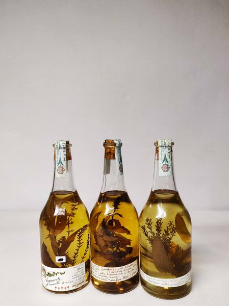 Levi Serafino, Grappa/Acquavite  - Asta Whisky & Co. - Associazione Nazionale - Case d'Asta italiane