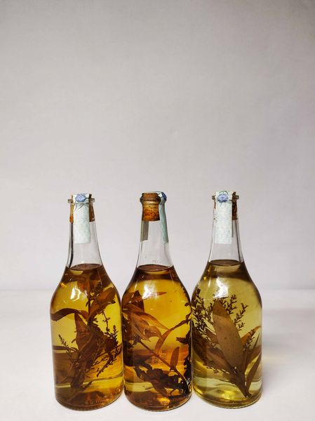 Levi Serafino, Grappa/Acquavite  - Asta Whisky & Co. - Associazione Nazionale - Case d'Asta italiane