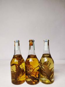 Levi Serafino, Grappa/Acquavite  - Asta Whisky & Co. - Associazione Nazionale - Case d'Asta italiane