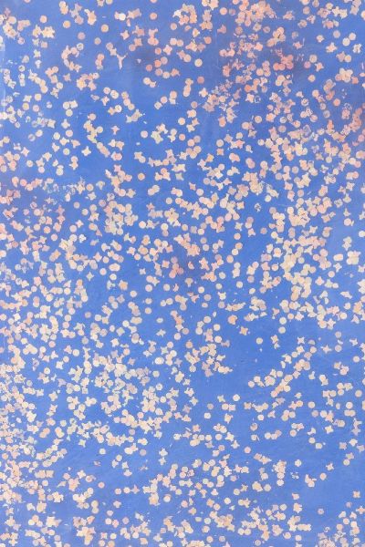 TANO FESTA : Coriandolo  - Asta Arte Moderna e Contemporanea - Associazione Nazionale - Case d'Asta italiane