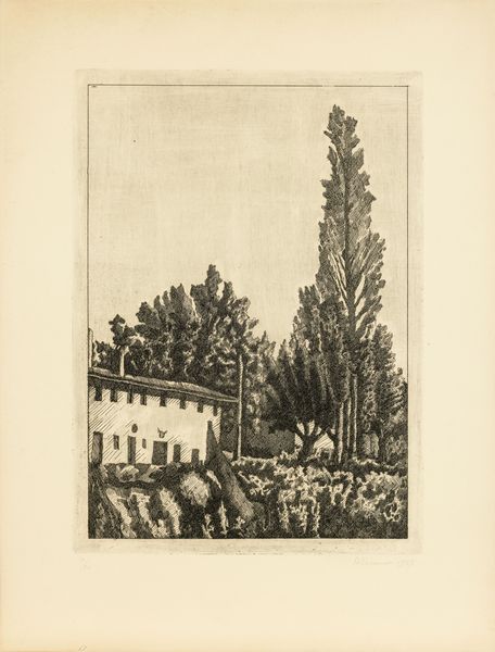 Giorgio Morandi : Paesaggio con il grande pioppo  - Asta Arte Moderna e Contemporanea - Associazione Nazionale - Case d'Asta italiane