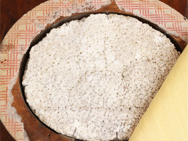 Scuola neoclassica del XVIII/XIX secolo : Putto suonatore che cavalca un leone e Fauno con capro  - Asta Una casa al Ponte Vecchio - Associazione Nazionale - Case d'Asta italiane