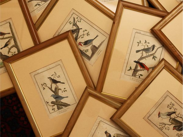 Tavole ornitologiche  - Asta Una casa al Ponte Vecchio - Associazione Nazionale - Case d'Asta italiane