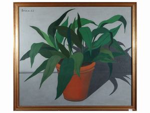 Giovanni Bruzzi - Pianta 1963