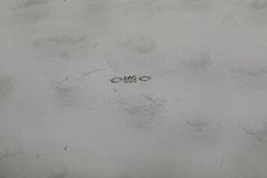 Due vassoi da portata. Argenteria milanese. Marchio con fascio littorio in uso dal 1935 al 1945. Argentiere Ilario Pradella  - Asta Dimore italiane - Associazione Nazionale - Case d'Asta italiane