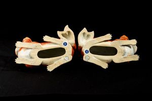 Coppia di cagnolini in porcellana decorata in smalto rosso ferro e nero, Cina, Dinastia Qing, periodo Qianlong (1736 - 1795)  - Asta Dimore italiane - Associazione Nazionale - Case d'Asta italiane