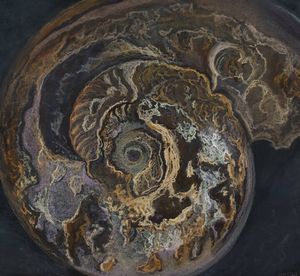 PIERO FILIPPI Italia XX sec - Spirale primigenia 1971