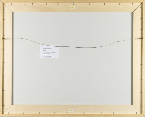 Karen Knorr : India Song, The Joy of Ahimsa  - Asta Fotografia - Associazione Nazionale - Case d'Asta italiane