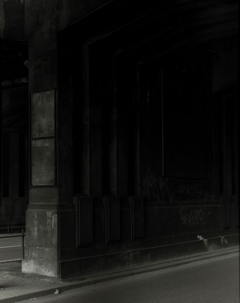 Gianni Ferrero Merlino : Alveare 2  - Asta Fotografia - Associazione Nazionale - Case d'Asta italiane