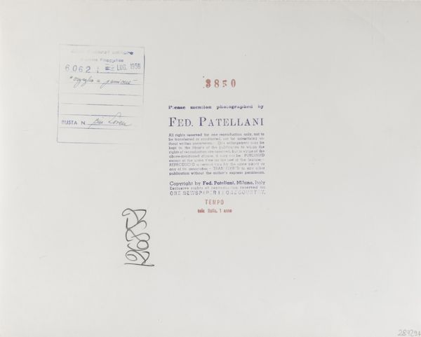 FEDERICO PATELLANI : Sophia Loren sul set del film Orgoglio e Passione  - Asta Fotografia - Associazione Nazionale - Case d'Asta italiane