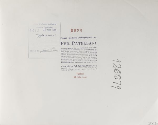 FEDERICO PATELLANI : Sophia Loren sul set del film Orgoglio e Passione  - Asta Fotografia - Associazione Nazionale - Case d'Asta italiane