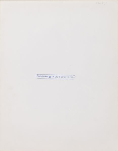 TAZIO SECCHIAROLI : Senza titolo (Sophia Loren)  - Asta Fotografia - Associazione Nazionale - Case d'Asta italiane