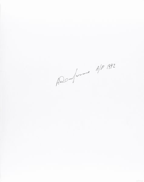 Antonio Guccione : Michaela Berku  - Asta Fotografia - Associazione Nazionale - Case d'Asta italiane