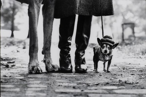 Elliott Erwitt : New York, New York, USA  - Asta Fotografia - Associazione Nazionale - Case d'Asta italiane