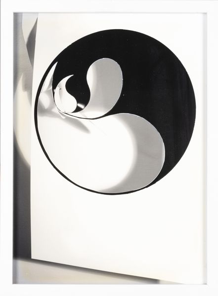 Luca Trevisani : Yin+Yang = melange  - Asta Fotografia - Associazione Nazionale - Case d'Asta italiane