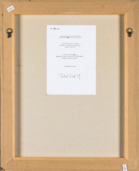 Guido Mocafico : Panther<BR>fotografata al Museum National d'Histoire Naturelle, Paris  - Asta Fotografia - Associazione Nazionale - Case d'Asta italiane