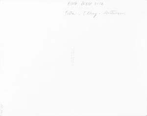 Alberto Durazzo : lotto formato da due scatti fotografici<BR> Senza titolo (Federico Fellini, Anita Ekberg, Marcello Mastroianni)  - Asta Fotografia - Associazione Nazionale - Case d'Asta italiane