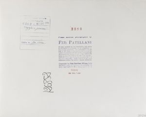 FEDERICO PATELLANI : Sophia Loren sul set del film Orgoglio e Passione  - Asta Fotografia - Associazione Nazionale - Case d'Asta italiane