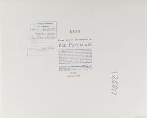 FEDERICO PATELLANI : Cary Grant e Sophia Loren sul set del film Orgoglio e Passione  - Asta Fotografia - Associazione Nazionale - Case d'Asta italiane