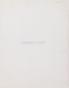 TAZIO SECCHIAROLI : Senza titolo (Sophia Loren)  - Asta Fotografia - Associazione Nazionale - Case d'Asta italiane