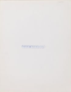 TAZIO SECCHIAROLI : Senza titolo (Sophia Loren)  - Asta Fotografia - Associazione Nazionale - Case d'Asta italiane