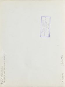 Autore sconosciuto<BR>lotto formato da tre scatti fotografici Foto Moisio, Torino (Palazzo delle Esposizioni Torino, Teatro Nuovo Riattato, Galleria del Padiglione Agnelli)  - Asta Fotografia - Associazione Nazionale - Case d'Asta italiane